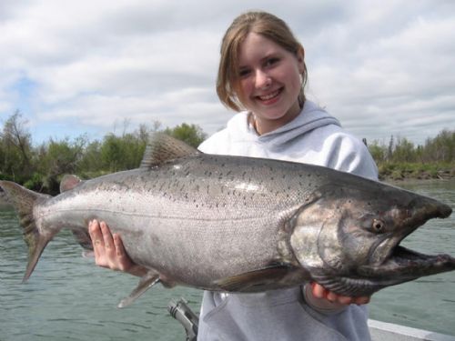 Sport Fishing Licenses and King Salmon Stamps, Alaska Department of Fish  and Game