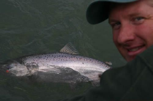 Jim Nelson Releasing a King Salmon on the Kenai River