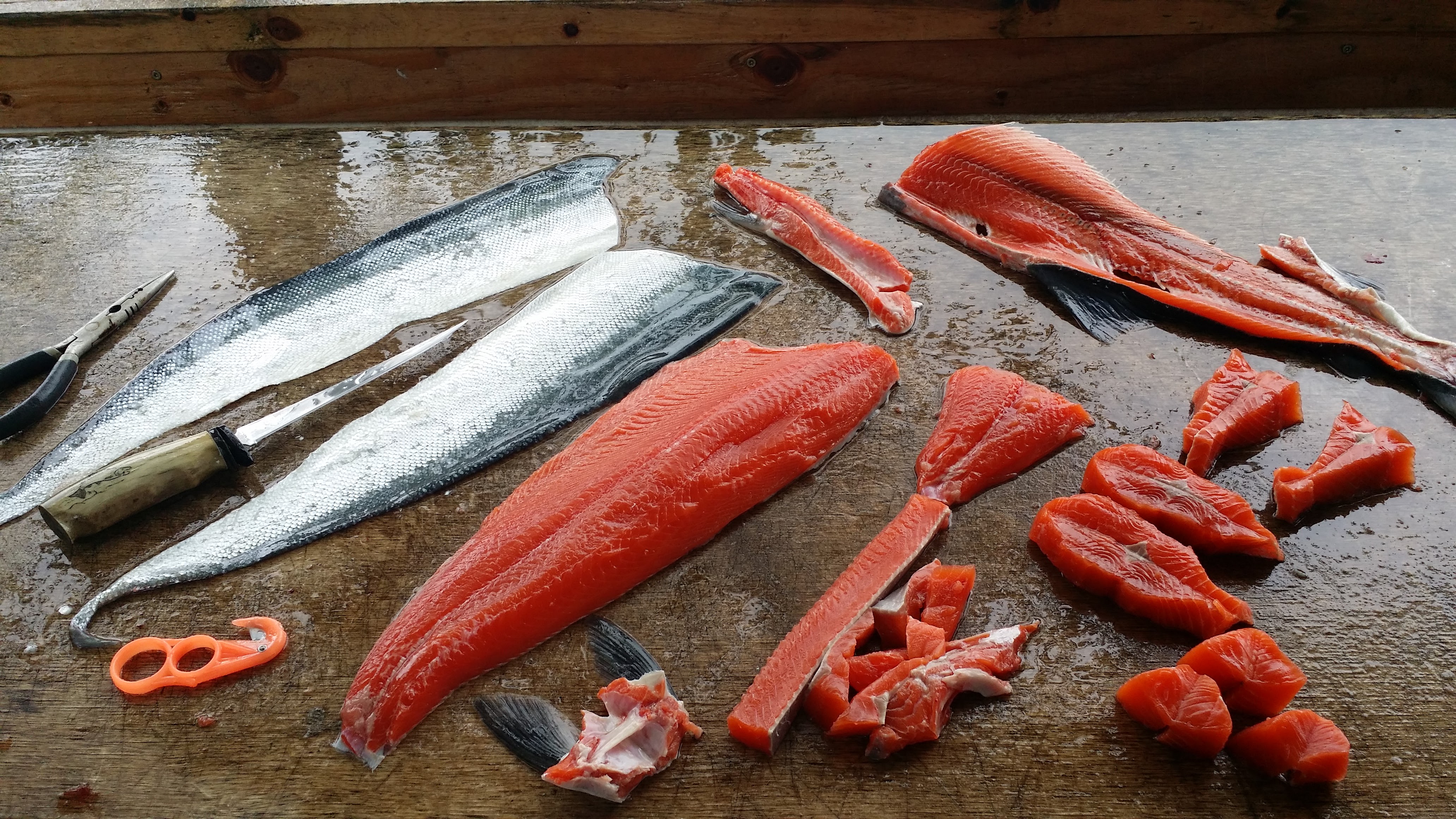 Alaska Salmon Filleting – The Alaska Dream